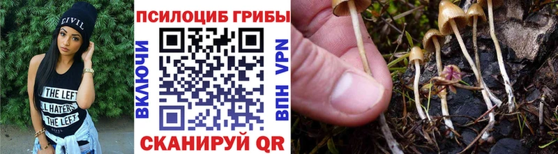 наркошоп  Отрадное  Галлюциногенные грибы мицелий 