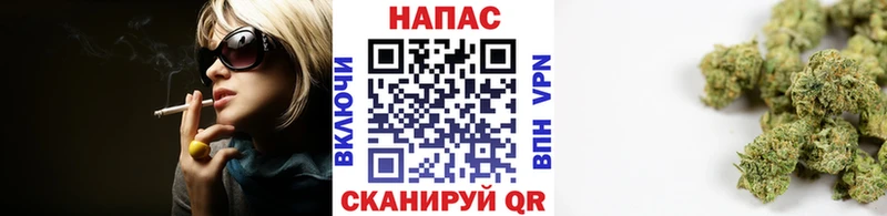 как найти закладки  Отрадное  Конопля Ganja 